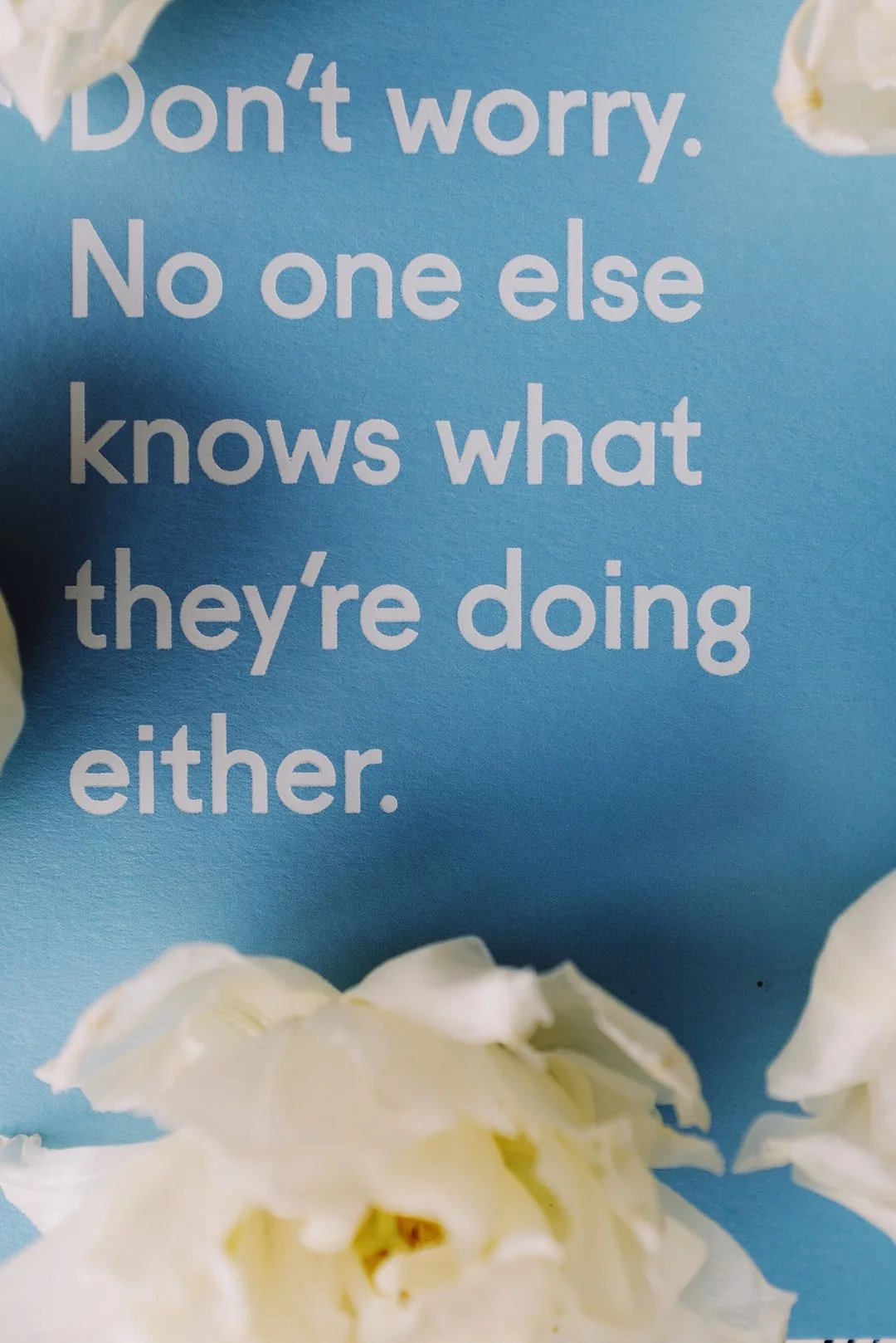inspirational quote card with flowers aesthetic phone background