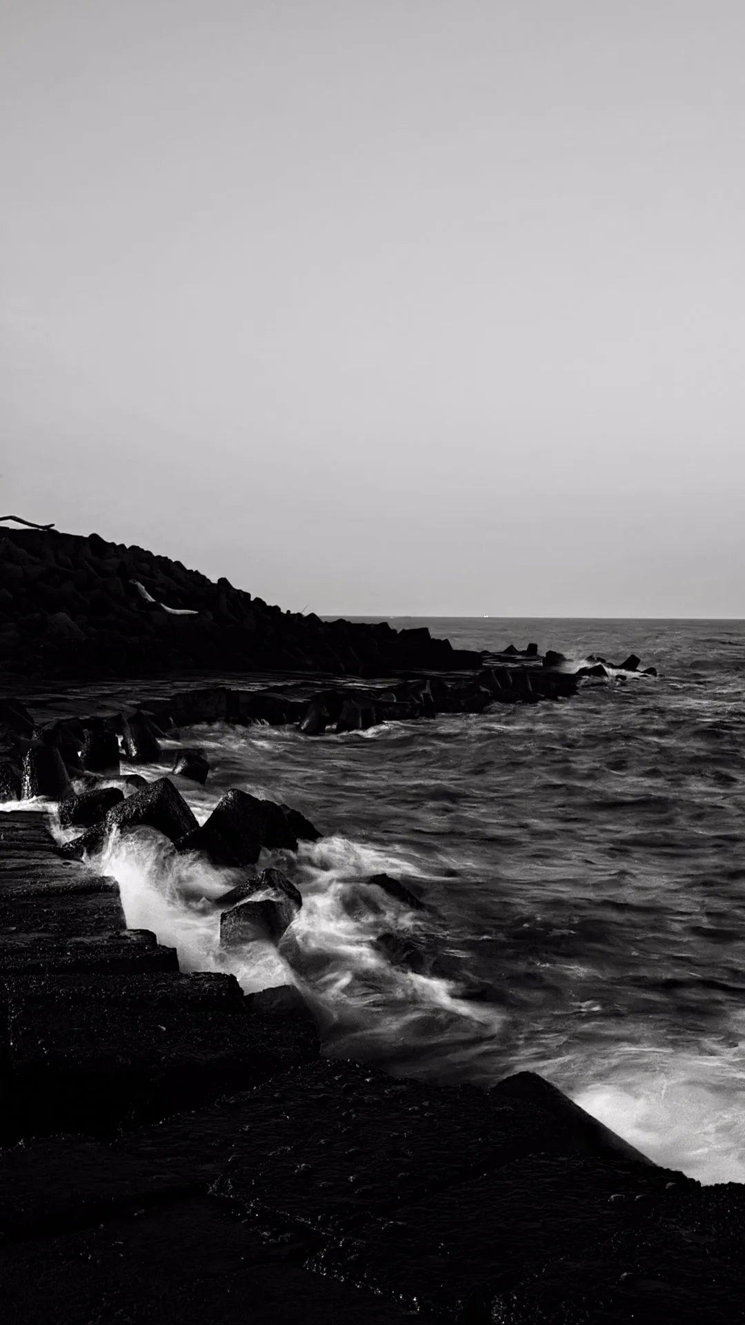 monochrome rocky coast HD phone wallpaper