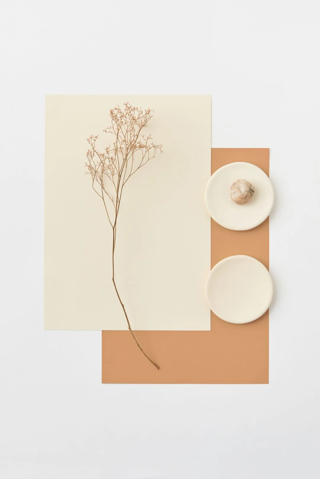 dry twig and plates on pastel paper aesthetic phone wallpaper