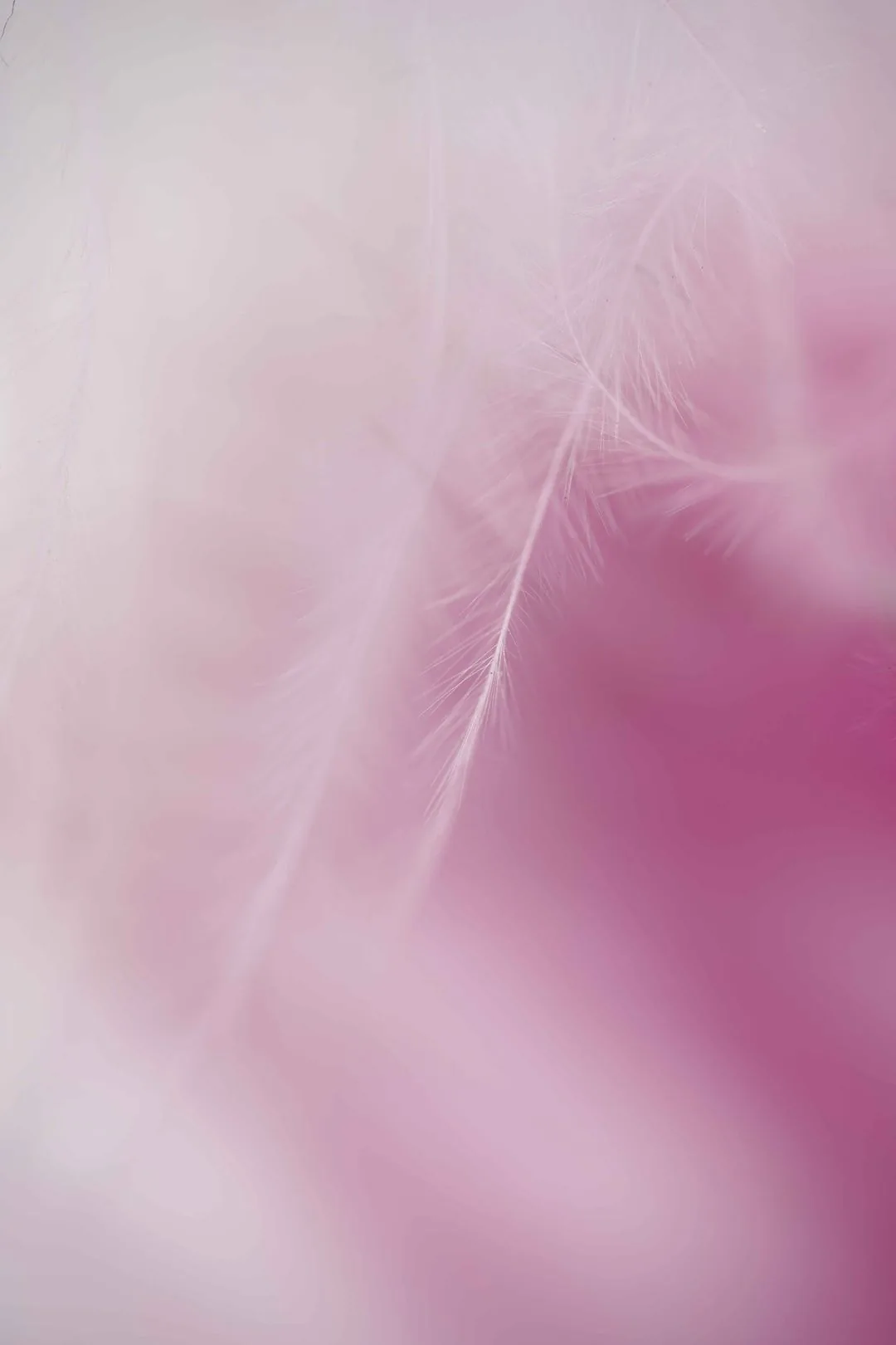 pink feathers dreamy HD phone wallpaper