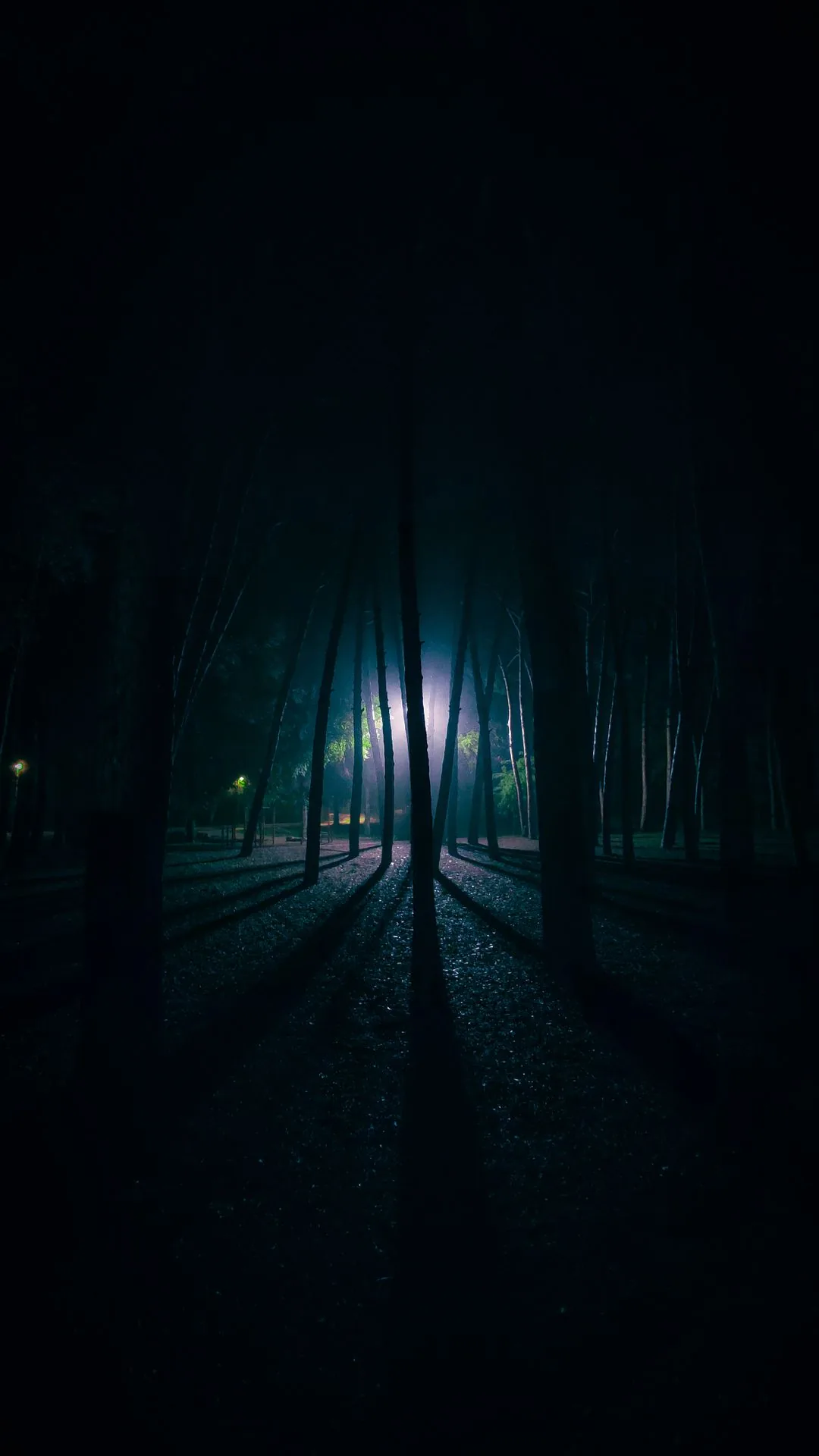 backlit forest at night phone wallpaper aesthetic